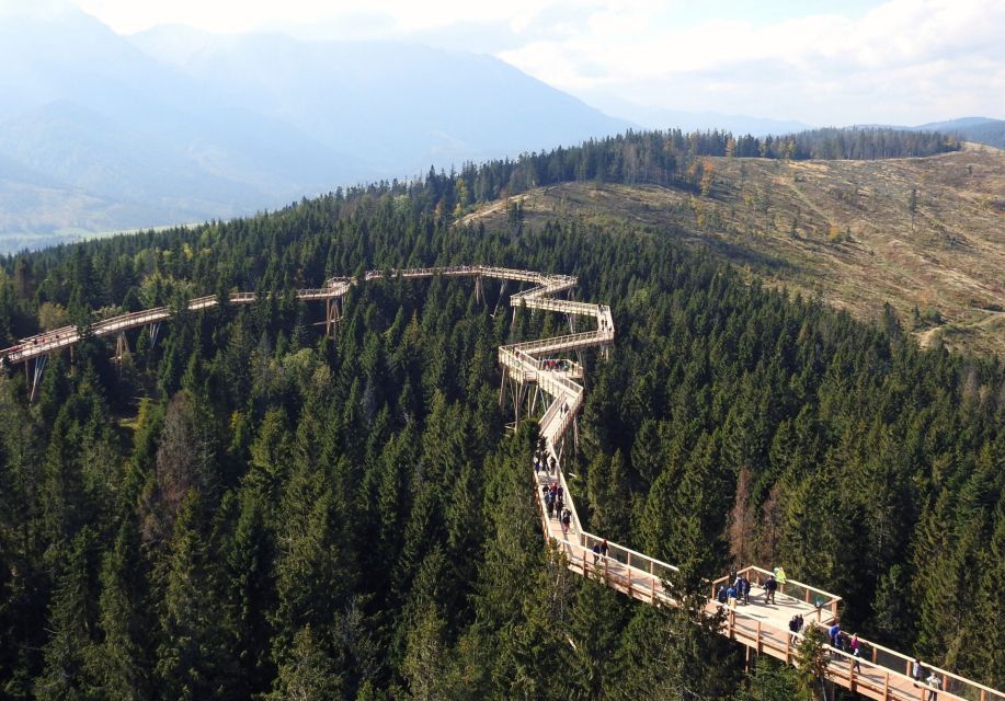 From Kraków: Slovakia Treetop Walk and Tour of Zakopane - Treetop Walk Experience