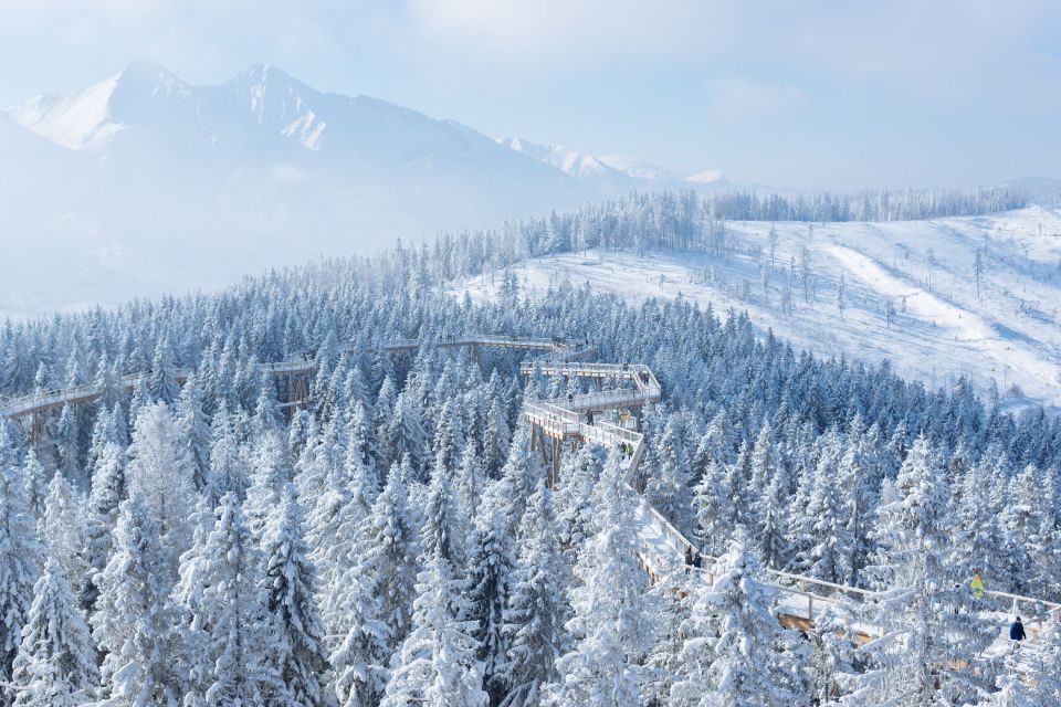 From Krakow: Slovakia Treetop Walk, Skiing, and Thermal Bath - Treetop Walk Experience