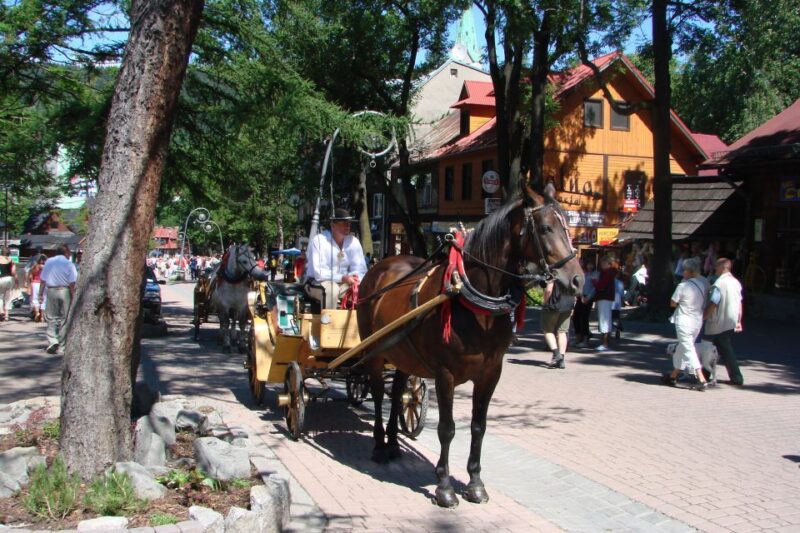 From Krakow: Slovakia Treetop Walk, Zakopane & Thermal Spa - Inclusions and Important Information