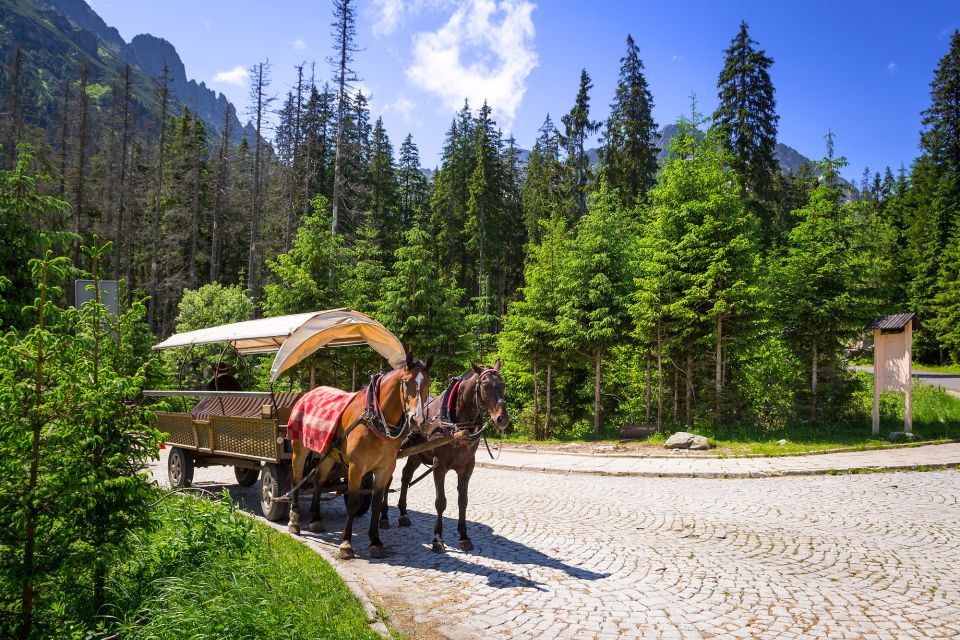 From Krakow: Zakopane and the Tatra Mountains Private Tour - Activities and Attractions