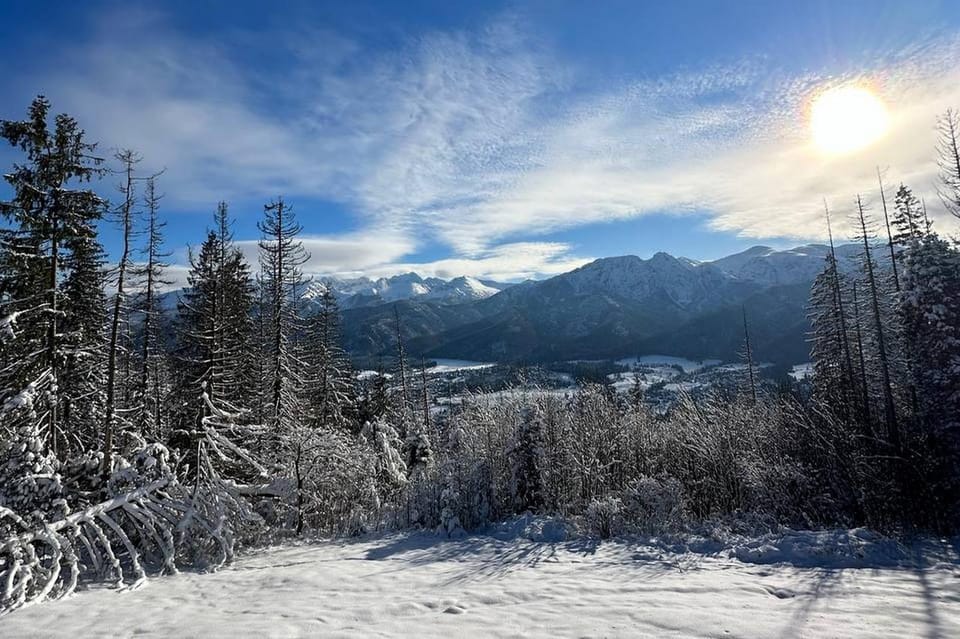 From Krakow: Zakopane Day Trip With Funicular & Food Tasting - Funicular Ride Experience