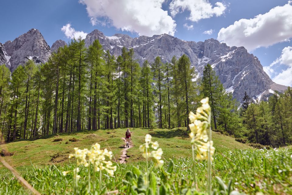 From Kranjska Gora: Julian Alps Guided Full-Day Tour - Scenic Drive Over Vrsic Pass