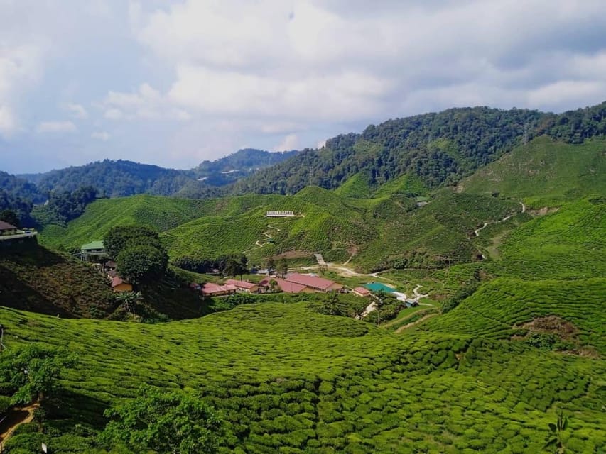 From Kuala Lumpur: Cameron Highlands Private or Join In Tour - Admission Fees