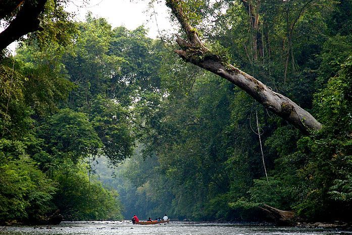 From Kuala Lumpur: Full Day Tour to Taman Negara - Group Size and Guide Information