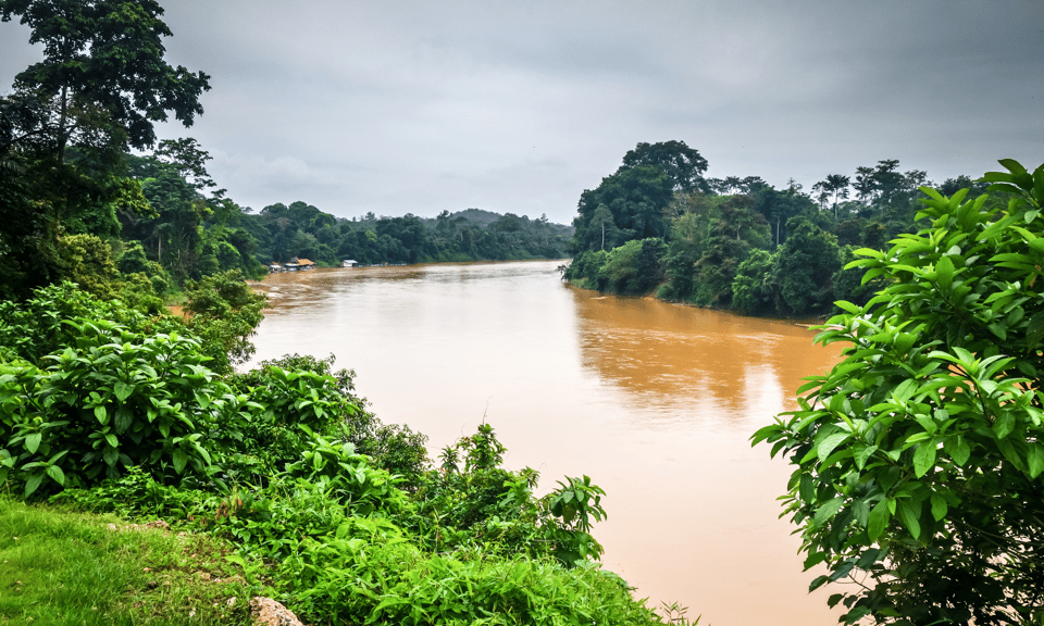 From Kuala Lumpur: Taman Negara National Park Private Tour - Key Attractions