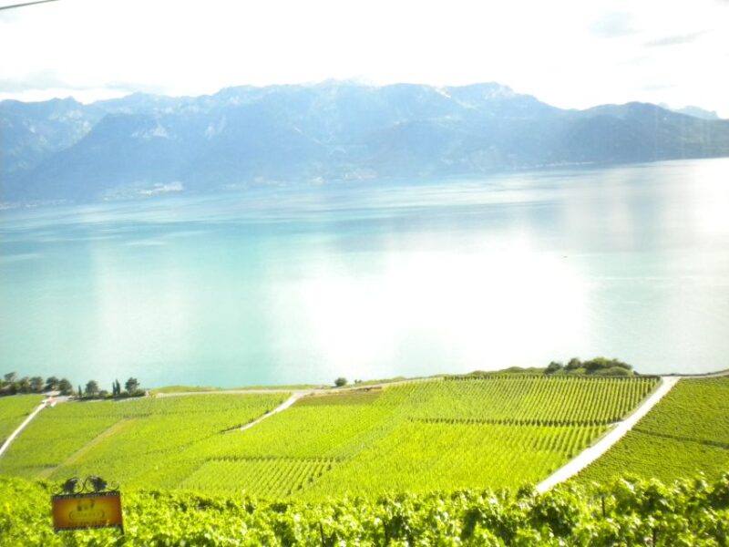 From Lausanne: Swiss Riviera Tour - Included in the Tour