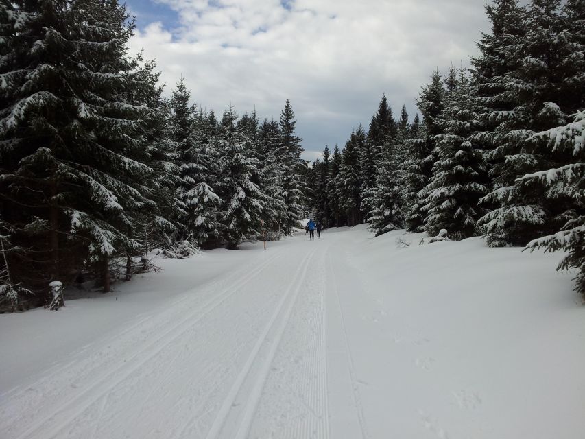 From Leipzig: Return Transfer to Fichtelberg Ski Run - Skiing Experience