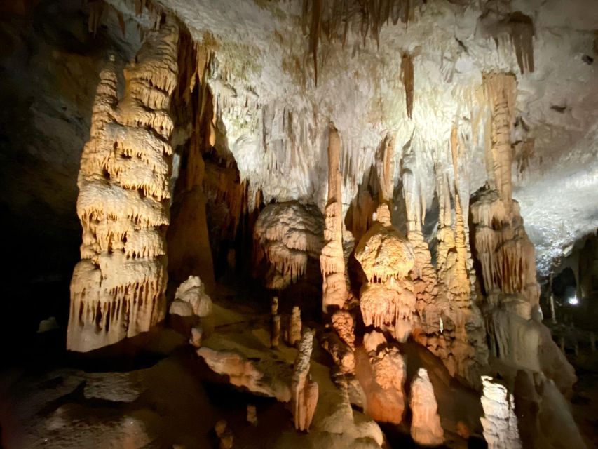 From Ljubljana: Postojna Cave Day Trip - Customer Reviews