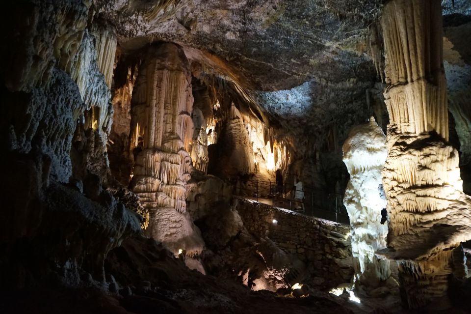 From Ljubljana: Postojna Cave & Predjama Castle Guided Trip - Guided Tour Details