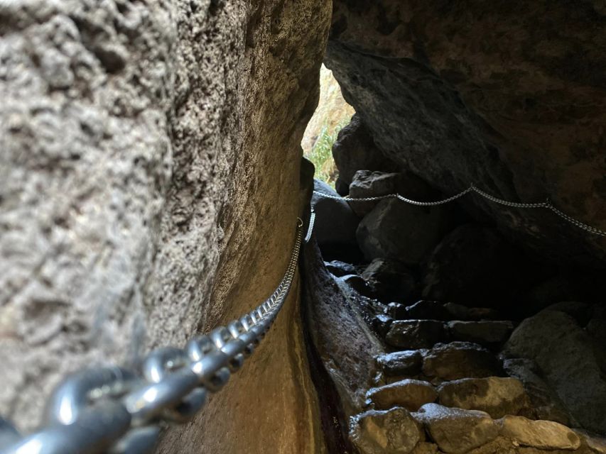 From Los Gigantes: Masca Canyon Hike With Water Taxi Return - Scenic Views and Wildlife