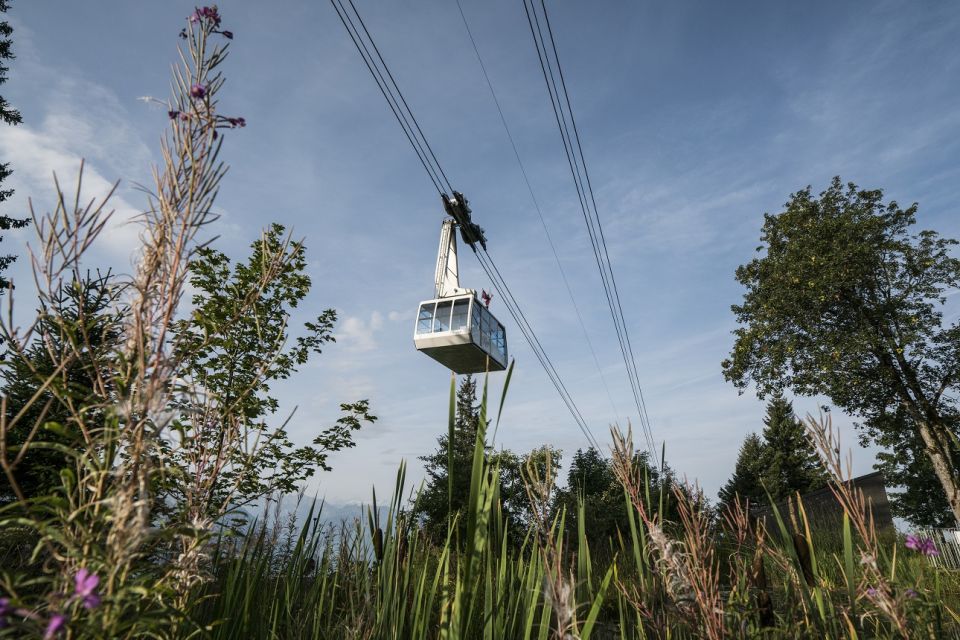 From Lucerne: Mount Rigi Day Trip With Cruise and Cable Car - Scenic Highlights