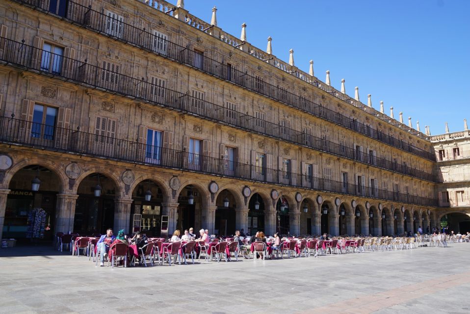 From Madrid: Day Trip to Salamanca With Private Tour - Experience and Convenience