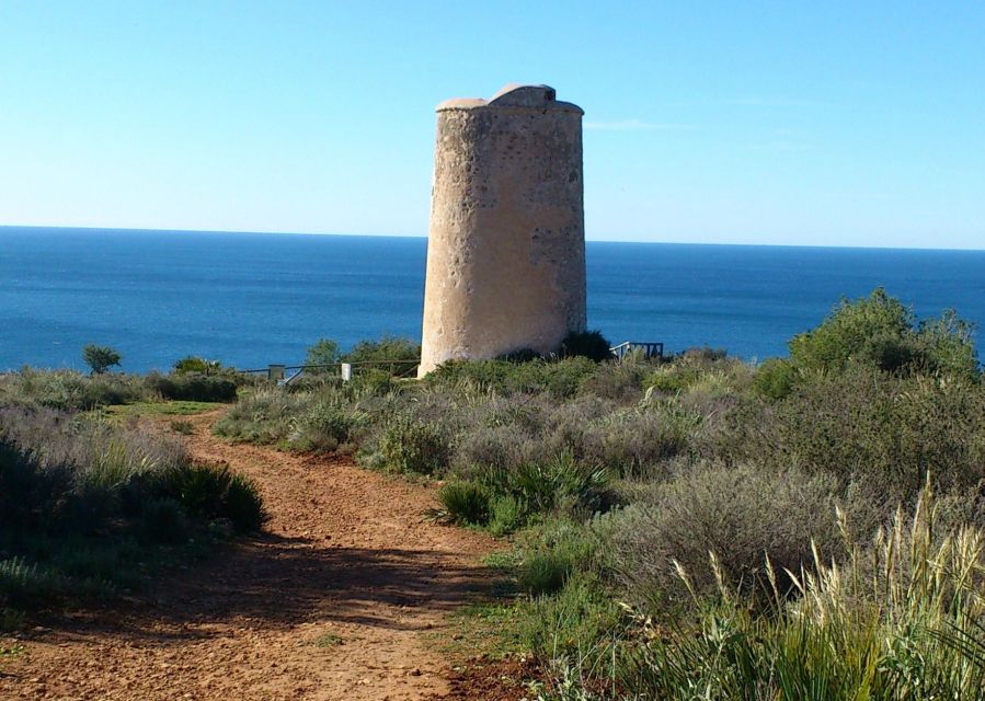 From Malaga: Cliffs of Maro Hike W/ Beach Visit & Snorkeling - Itinerary Details