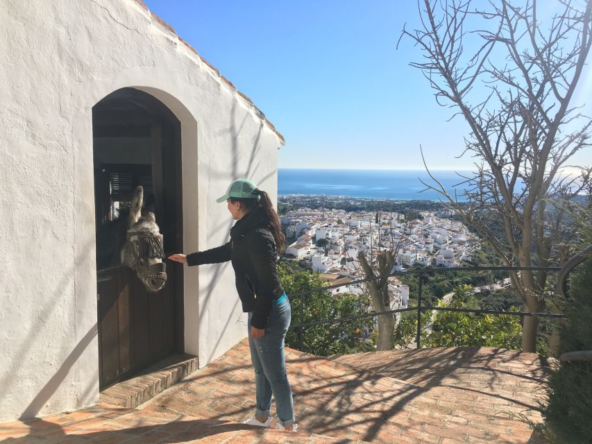 From Málaga: Frigiliana Hiking Tour With Wine & Appetizers - Hiking Experience