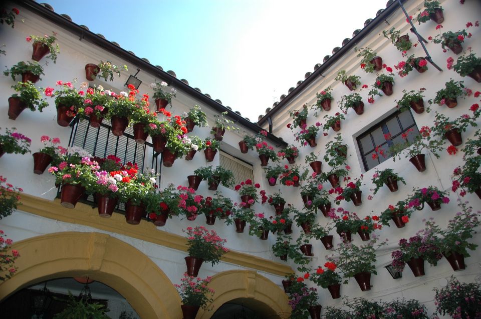 From Malaga: Private Guided Walking Tour of Córdoba - Inclusions