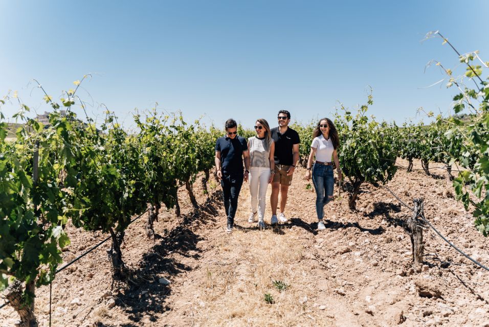 From Málaga: Ronda & Winery Experience With Wine Tasting - Transportation and Timing