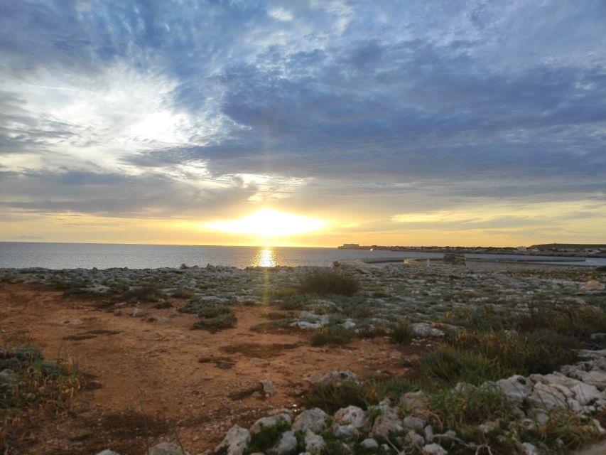 From Mallorca: Guided Day Trip to Menorca - Transportation and Accessibility