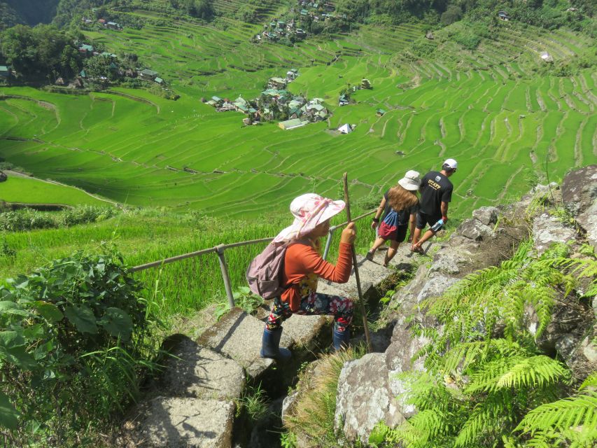 From Manila: 4-Day Sagada and Banaue Rice Terraces Tour | Travel Buddies