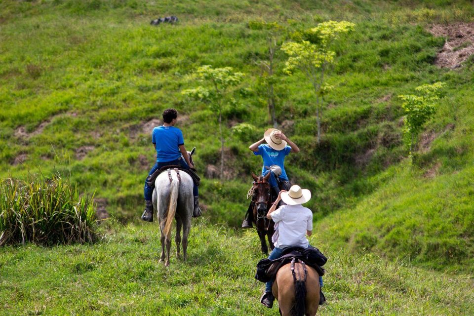 From Medellin; (All-In) The Real Horseback Ranch Experience - Whats Included