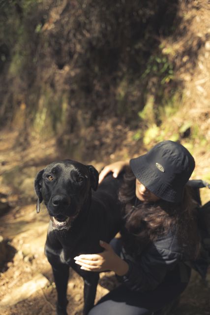 From Medellin Waterfalls: Guided Hiking Tour in Nature - What to Expect on the Hike