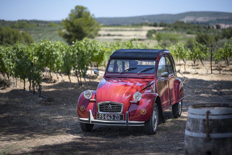 From Montpellier: Winery Tour in a Vintage Citroën 2CV - Vintage Citroën 2CV Experience