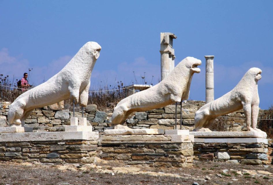 From Mykonos: Ancient Delos Tour - Transportation and Meeting Details