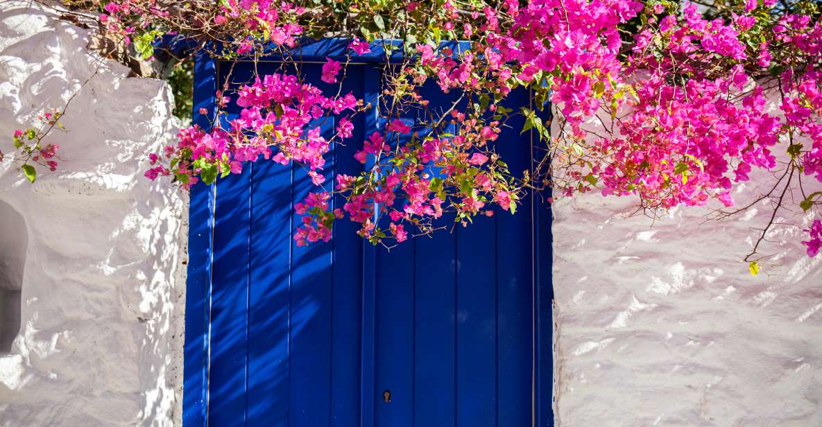 From Mykonos Town: Guided Sightseeing Tour With Windmills - Guided Tour Experience