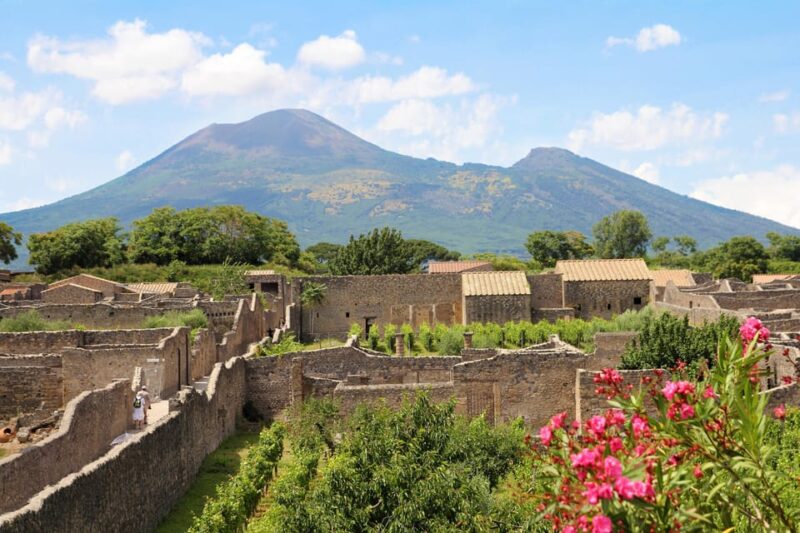 From Naples Port:Pompeii+Vesuvius Tour - Inclusions of the Experience