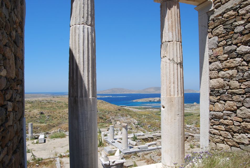 From Naxos: Delos and Mykonos Full-Day Boat Trip - Inclusions and Exclusions