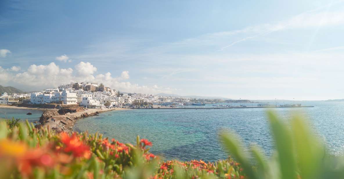 From Naxos: Delos and Mykonos Full-Day Trip by Catamaran - Inclusions and Exclusions