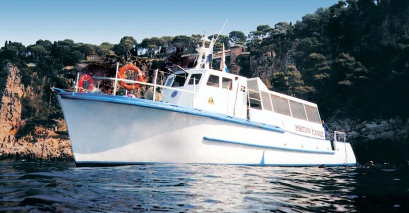 From Nice: Villefranche Bay Swimming & Snorkeling Boat Tour - Inclusions and Equipment