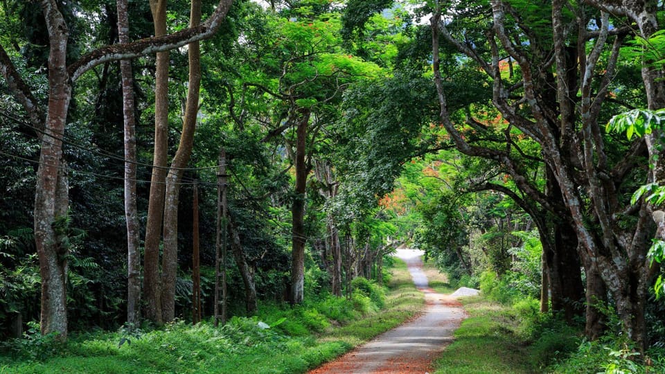 From Ninh Binh: Cuc Phuong National Park 1-Day Small Group - Inclusions and Exclusions