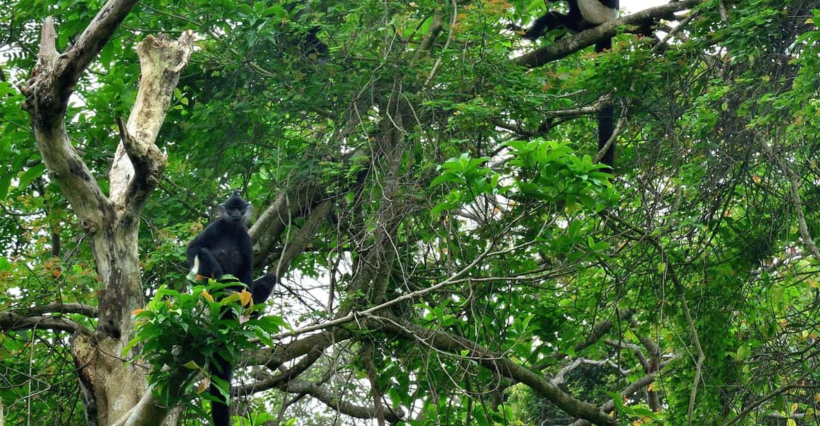 From Ninh Binh: Full Day Discover Cuc Phuong National Park - Inclusions