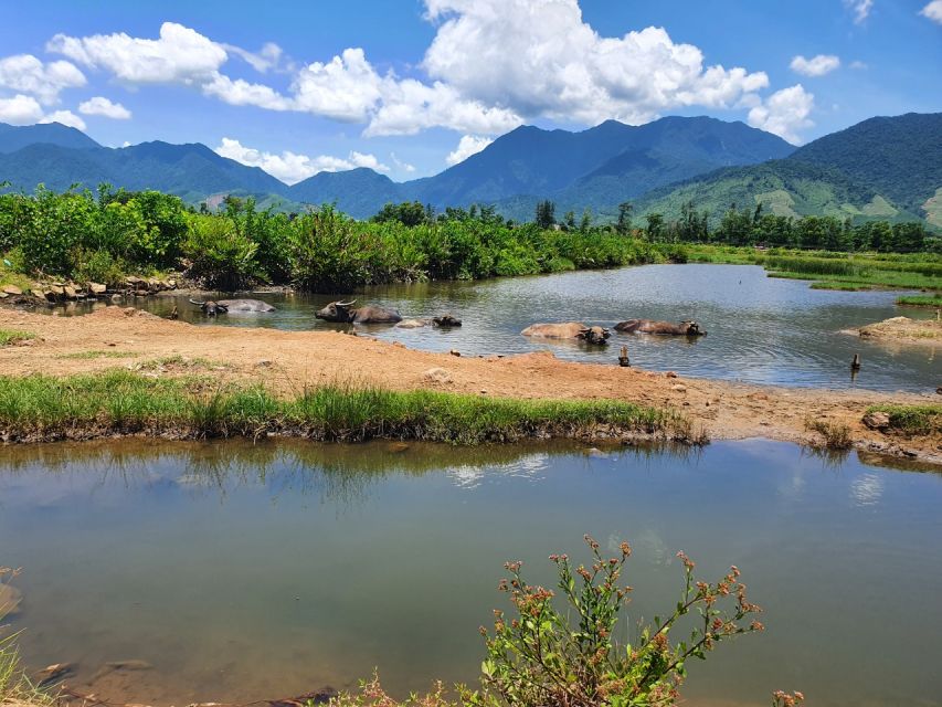 From Ninh Binh : Hue - Hoi An Easyrider , Hai Van Pass - Highlights of the Journey