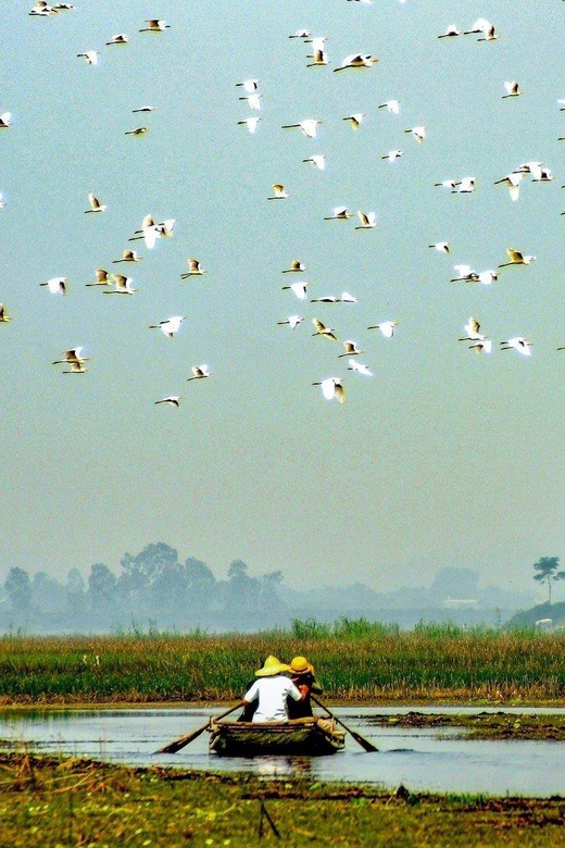 From Ninh Binh: Visit Cuc Phuong National Park - Van Long - Transportation Details