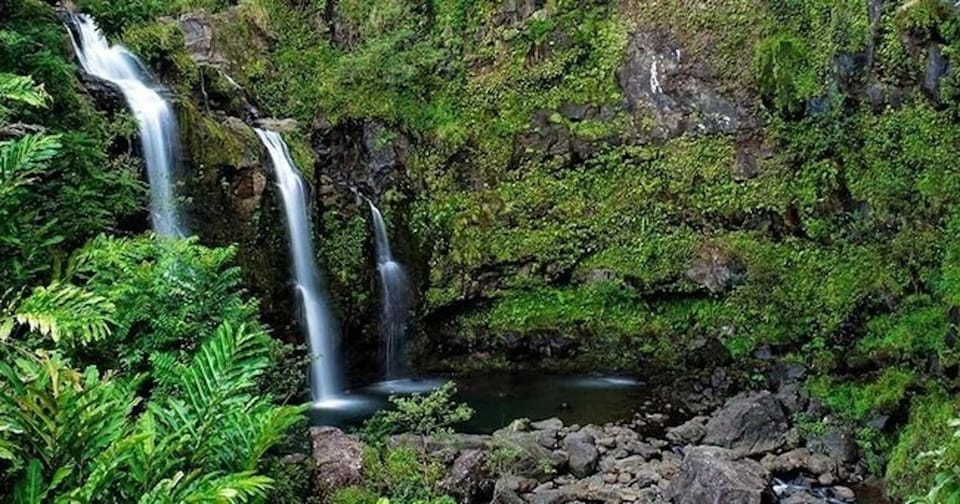 From Oahu: Road to Hana Rainforest and Waterfall Experience - Experience and Cultural Insights