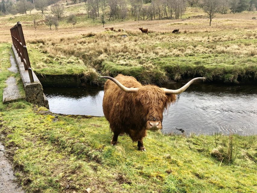 From Oban Glencoe and Castles Tour | Travel Buddies