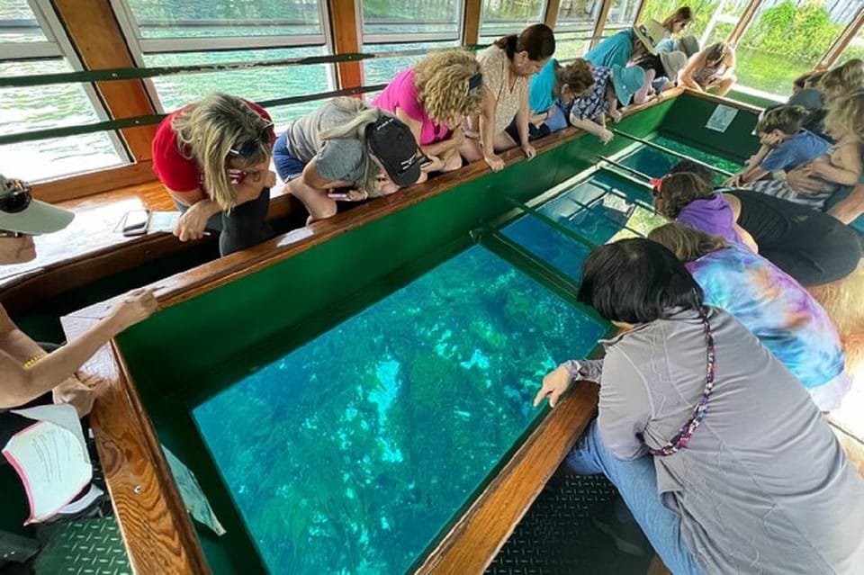 From Orlando: Silver Springs Park and Glass Bottom Boat Tour - Highlights and Attractions