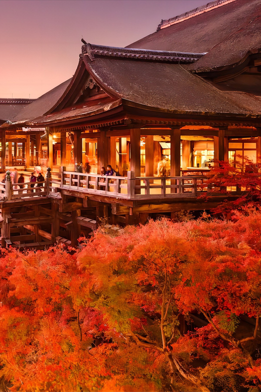 From Osaka: Kyoto and Nara Day Tour With Deer Sightings - Additional Sightseeing Options