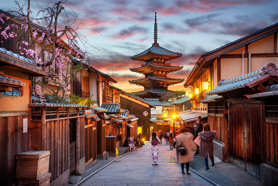 From Osaka or Kyoto: Kyoto and Nara Private Day Trip - Customization Options