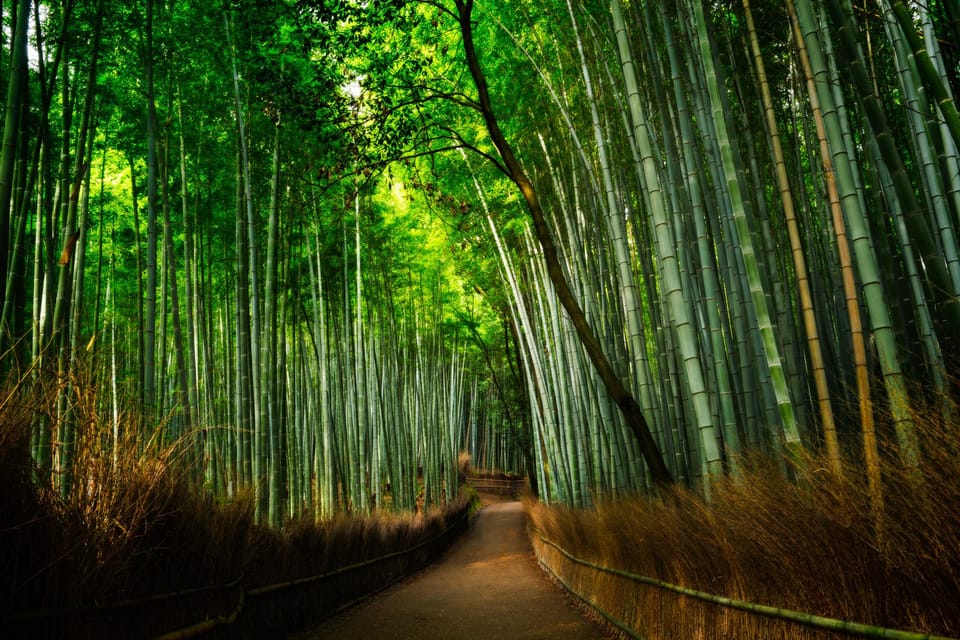 From Osaka to Kyoto: Arashiyama Bamboo Forest Tour - Exploring Arashiyama Bamboo Forest