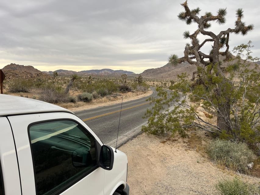 From Palm Springs: Joshua Tree National Park Driving Tour - Inclusions and Transportation