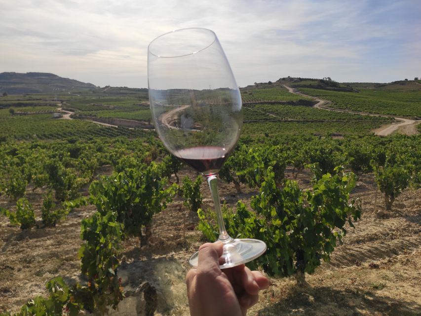 From Pamplona or Logroño: Rioja Wineries Day Trip W/ Tasting - Included Services