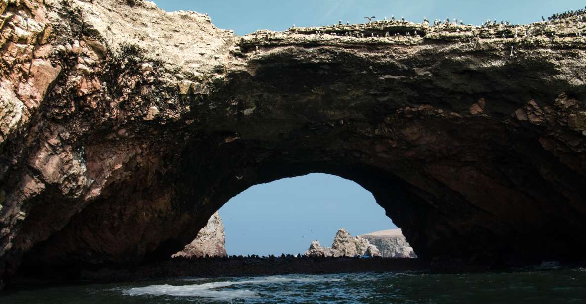 From Paracas: Ballestas Island Marine Wildlife Watching - Itinerary for the Tour