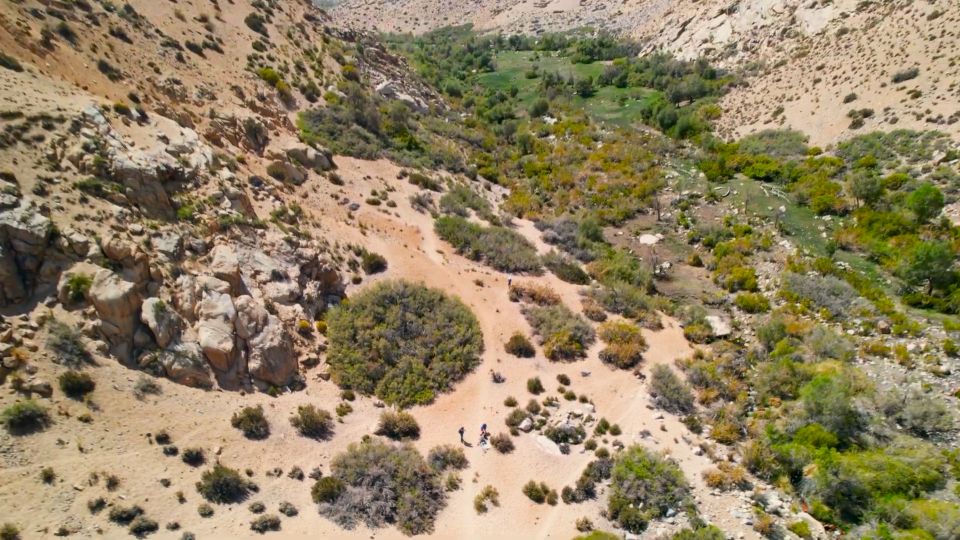 From Pisco Elqui: Cochiguaz River Valley Nature Hike - Inclusions of the Tour