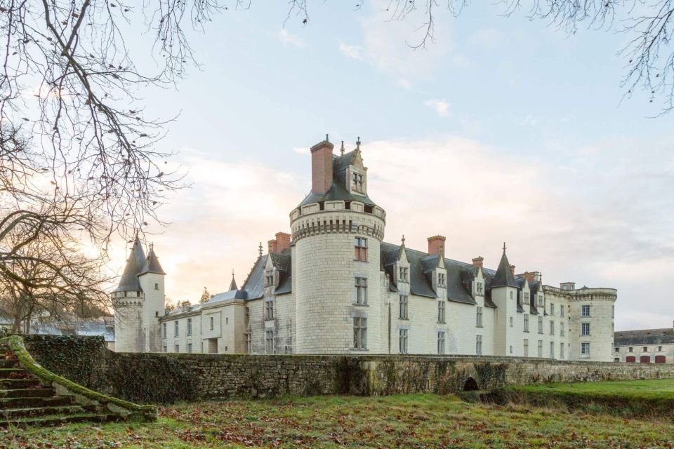 From Poitiers: Private Visit of the Castle of Dissay - Architectural Highlights