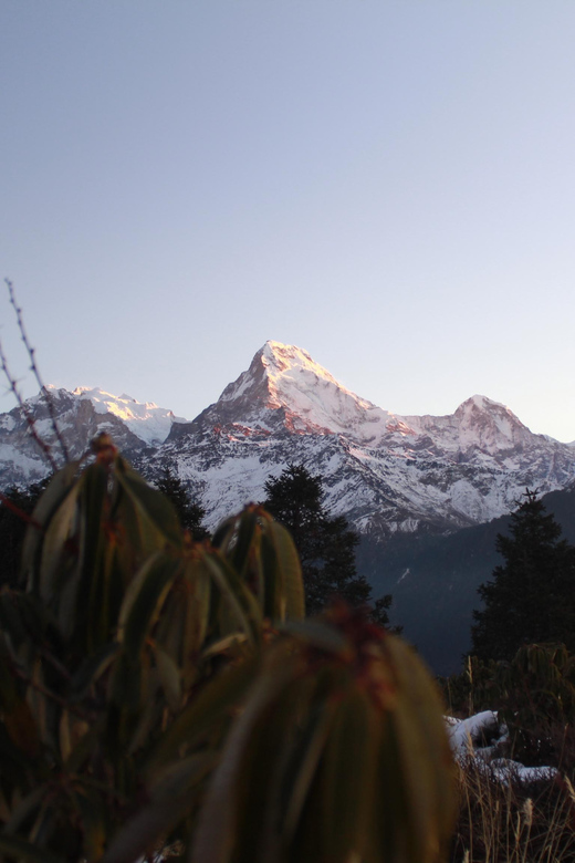 From Pokhara: 2 Day Poon Hill Himalayan Experience Trek - Day 1 Itinerary