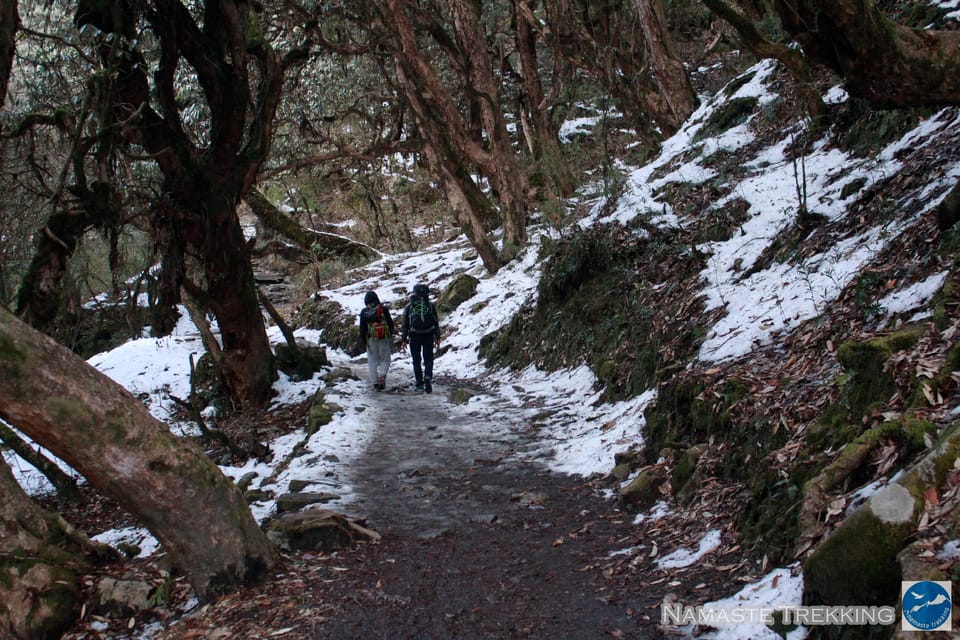 From Pokhara: 2-Day Short Poon Hill Trek - Pricing and Inclusions