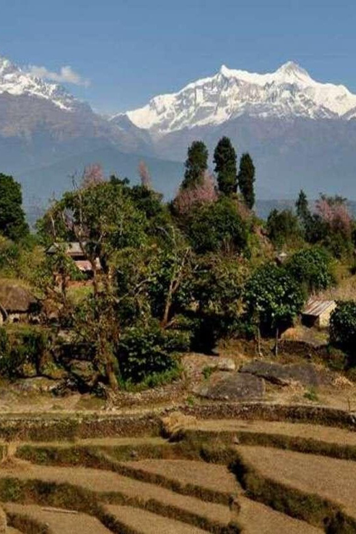 From Pokhara : 2-Days Private Trek to Panchase Hill - Daily Itinerary