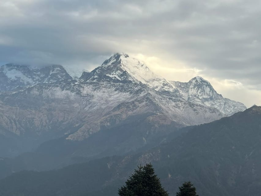 From Pokhara: 3 Day 2 Night Annapurna Poon Hill Short Trek - Whats Included